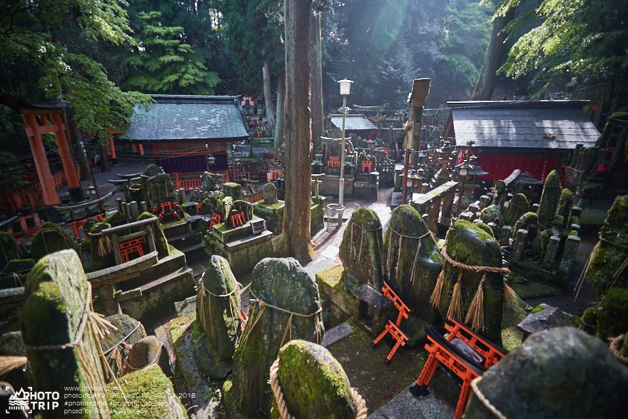 japan part4