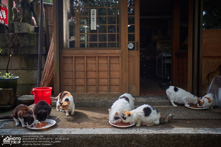 japan part4
