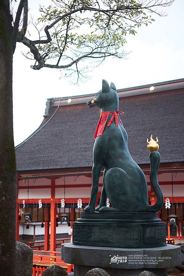 japan part4